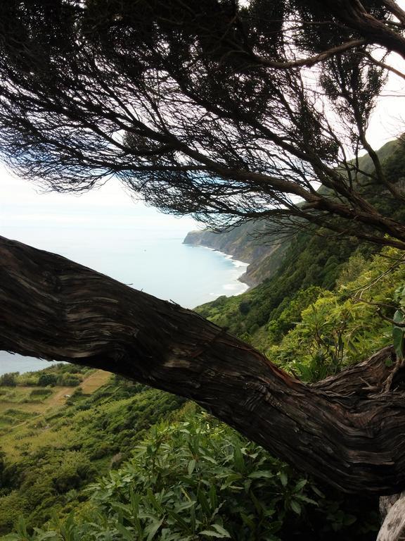 Praia do Norte House Andradeヴィラ エクステリア 写真
